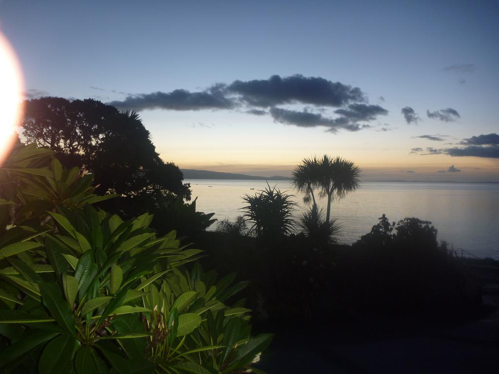 Pohutukawa Coast Bnb Te Puru Экстерьер фото