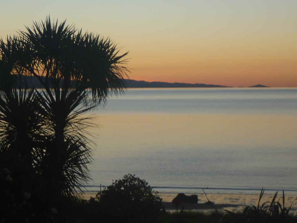 Pohutukawa Coast Bnb Te Puru Экстерьер фото