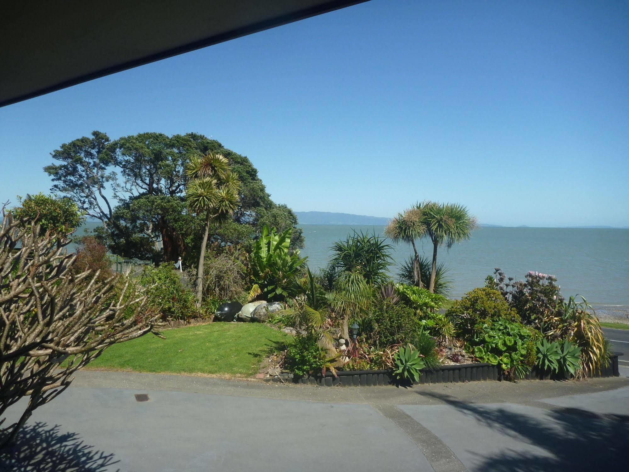 Pohutukawa Coast Bnb Te Puru Экстерьер фото