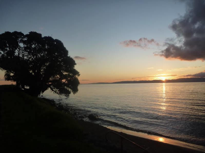 Pohutukawa Coast Bnb Te Puru Экстерьер фото